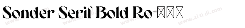 Sonder Serif Bold Ro字体转换
